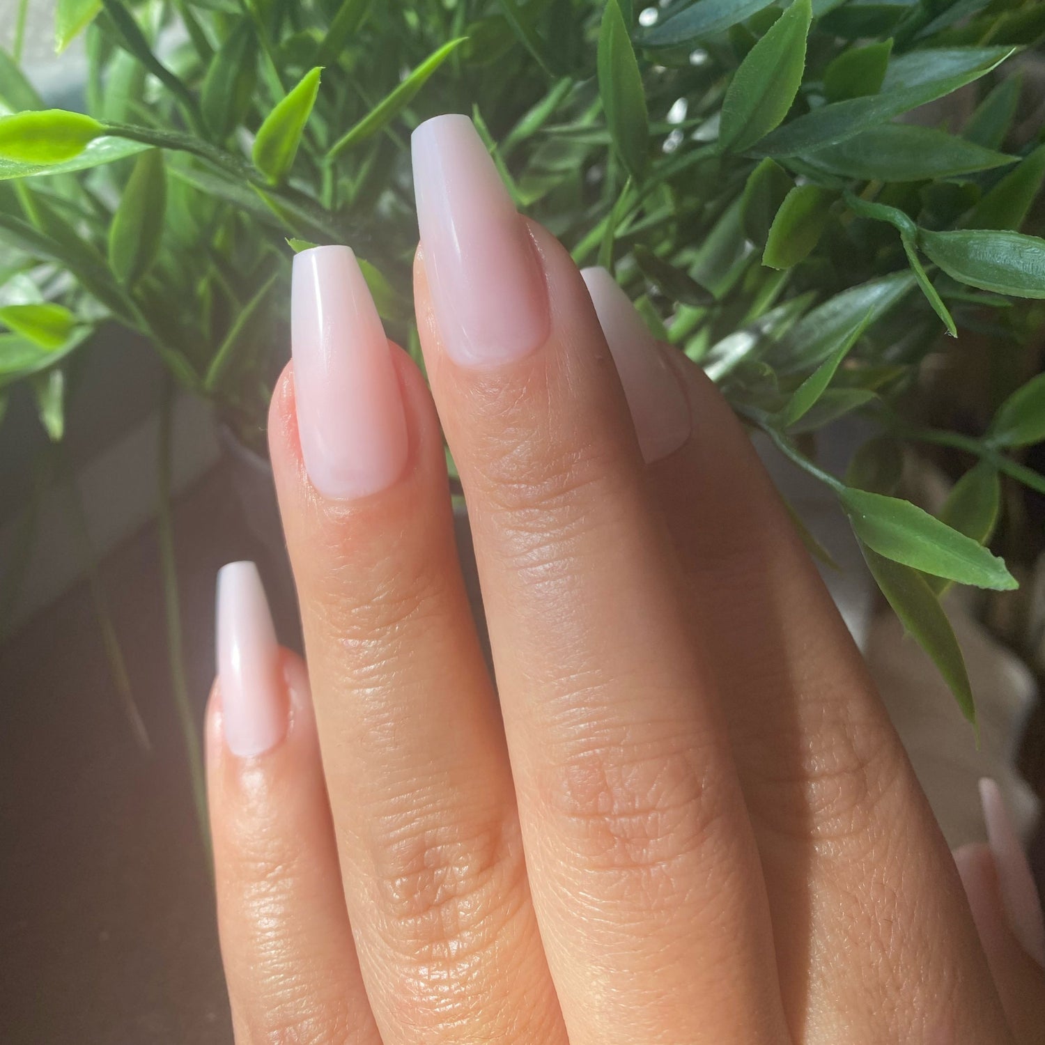 NAKED Acrylish (extra long) Press on Nails