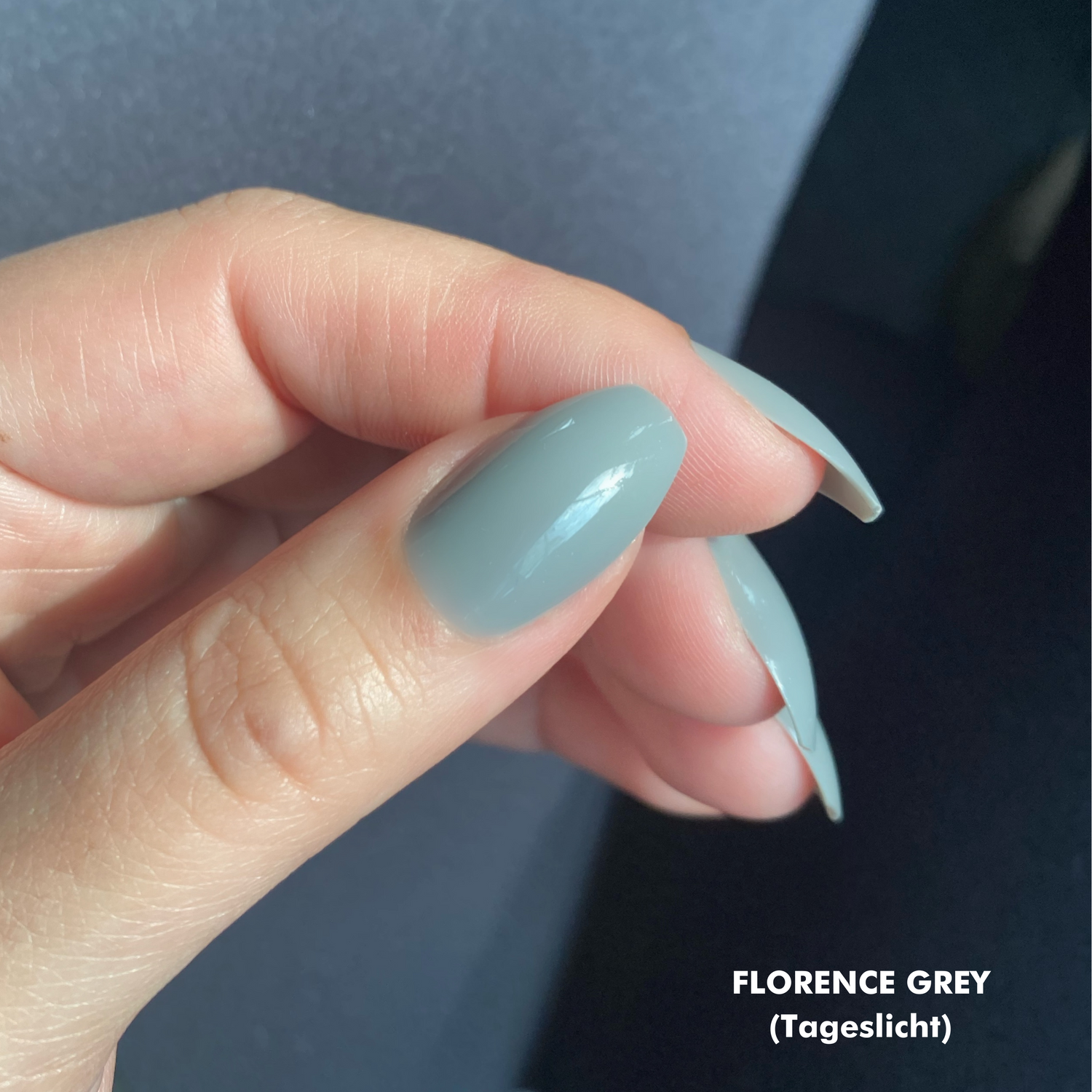 Florence Gray Coffin Press on Nails