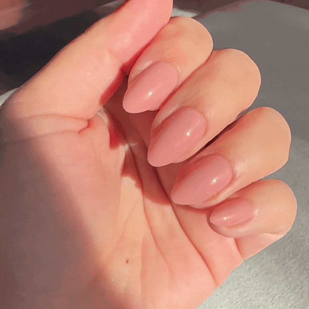BESTIE FRENCH Acrylish (ekstra uzun) Press on Nails